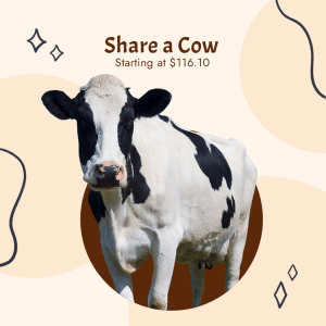 Share a Cow