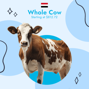 Yemen Best 10 Days - Whole Cow